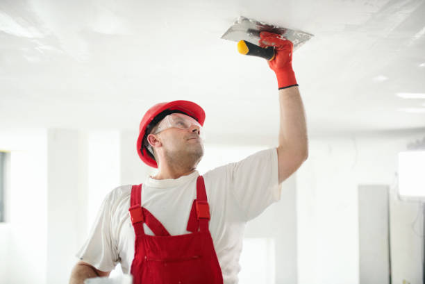 Reliable Raymore, MO Painting & Drywall Installation Solutions